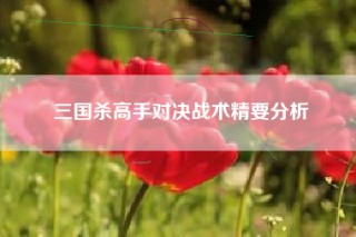 三国杀高手对决战术精要分析