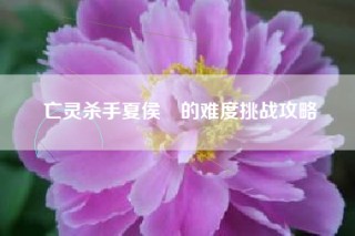 亡灵杀手夏侯惇的难度挑战攻略