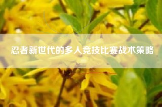 忍者新世代的多人竞技比赛战术策略