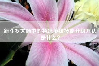 新斗罗大陆中的特殊英雄技能升级方法是什么？