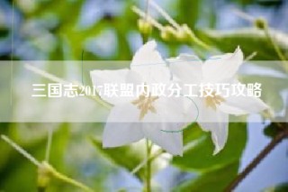 三国志2017联盟内政分工技巧攻略
