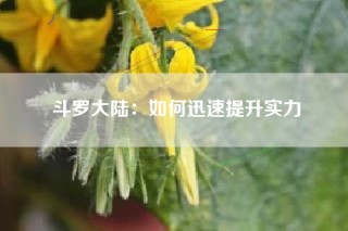 斗罗大陆：如何迅速提升实力