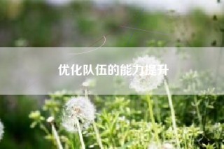 优化队伍的能力提升