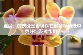 夏侯惇的技能是否可以在多目标场景中更好地发挥作用？