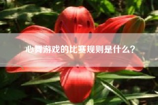 心舞游戏的比赛规则是什么？
