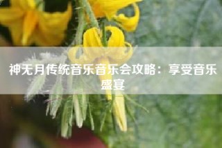 神无月传统音乐音乐会攻略：享受音乐盛宴
