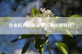合金机兵的装备是否有光谱特性？