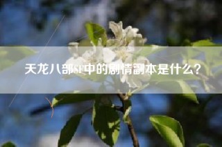 天龙八部SF中的剧情副本是什么？