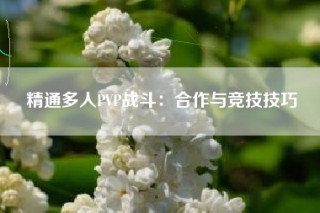 精通多人PVP战斗：合作与竞技技巧