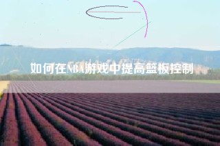 如何在NBA游戏中提高篮板控制