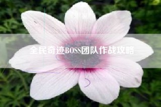 全民奇迹BOSS团队作战攻略