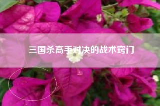 三国杀高手对决的战术窍门