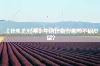 《挂机吧兄弟》中的怪物有哪些不同类型？