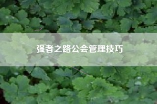 强者之路公会管理技巧