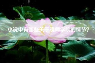小说中有哪些关于魂师学院的情节？