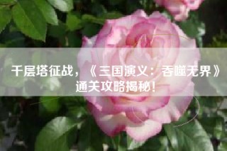 千层塔征战，《三国演义：吞噬无界》通关攻略揭秘！
