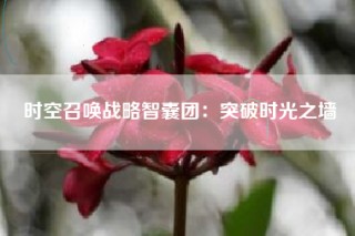时空召唤战略智囊团：突破时光之墙