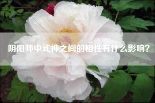 阴阳师中式神之间的相性有什么影响？