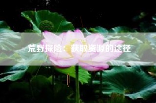 荒野探险：获取资源的途径