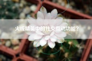 火线精英中的社交互动功能？