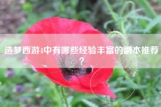 造梦西游4中有哪些经验丰富的副本推荐？
