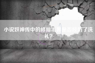 小说妖神传中的修仙境界是否经历了洗礼？