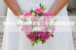 如何在《挂机吧兄弟》中获得高级宠物技能？