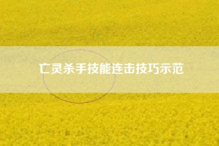 亡灵杀手技能连击技巧示范