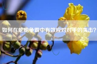 如何在蛇蛇争霸中有效应对对手的夹击？