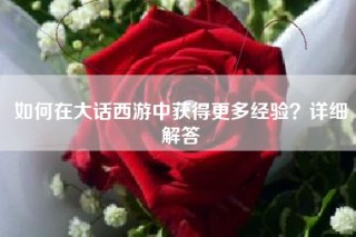 如何在大话西游中获得更多经验？详细解答