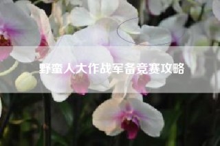 野蛮人大作战军备竞赛攻略