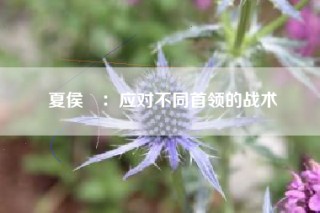 夏侯惇：应对不同首领的战术