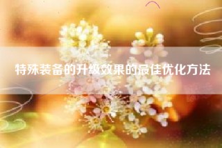 特殊装备的升级效果的最佳优化方法