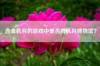 合金机兵的游戏中是否有机兵博物馆？