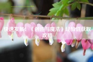 快速发展：《创造与魔法》经验值获取攻略