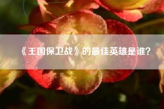 《王国保卫战》的最佳英雄是谁？
