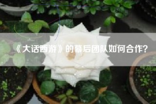 《大话西游》的幕后团队如何合作？