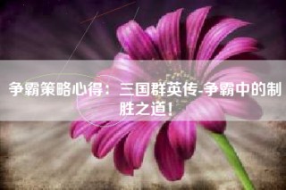 争霸策略心得：三国群英传-争霸中的制胜之道！