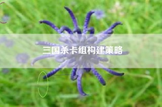 三国杀卡组构建策略