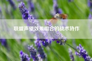 联盟声望效果组合的战术协作