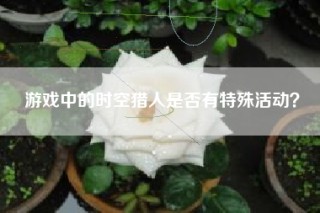 游戏中的时空猎人是否有特殊活动？