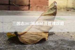三国志2017城市经济管理攻略