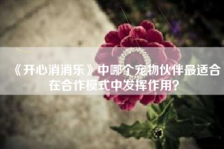 《开心消消乐》中哪个宠物伙伴最适合在合作模式中发挥作用？