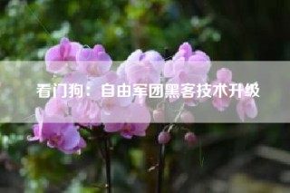 看门狗：自由军团黑客技术升级