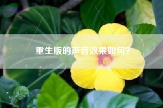重生版的声音效果如何？