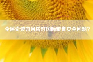 全民奇迹如何应对国际粮食安全问题？