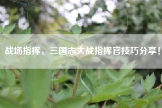 战场指挥，三国志大战指挥官技巧分享！