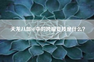 天龙八部SF中的跨服竞技是什么？
