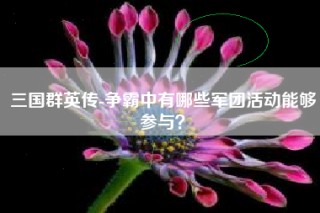 三国群英传-争霸中有哪些军团活动能够参与？