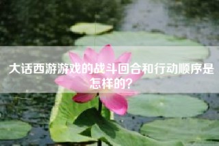大话西游游戏的战斗回合和行动顺序是怎样的？